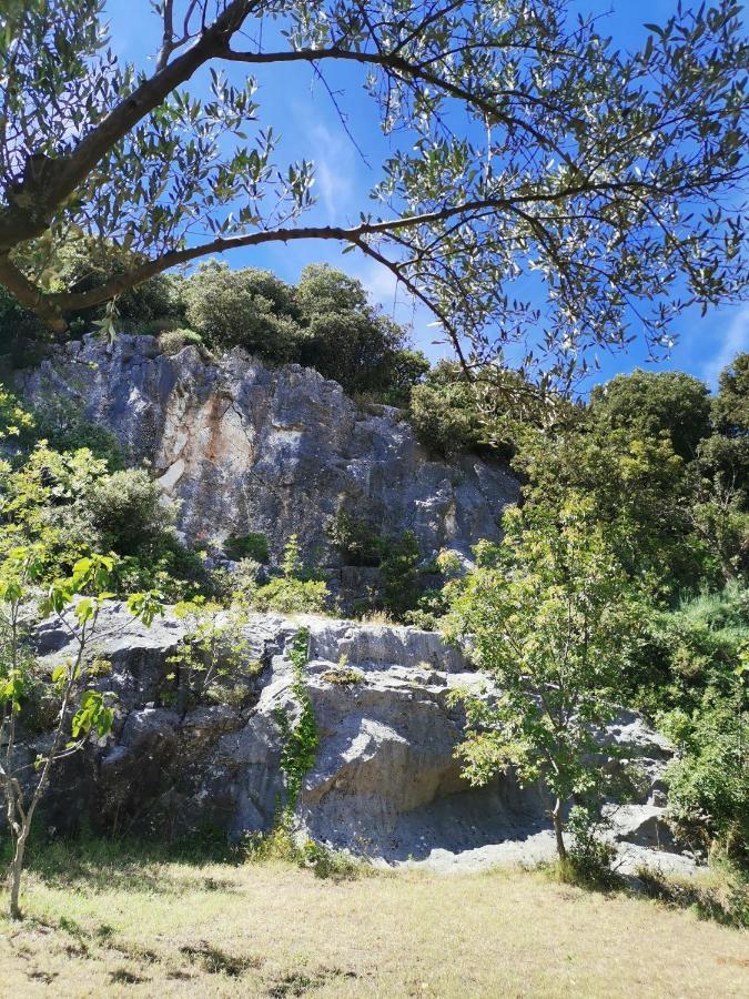 Cave With Free Parking Διαμέρισμα Πούλα Εξωτερικό φωτογραφία